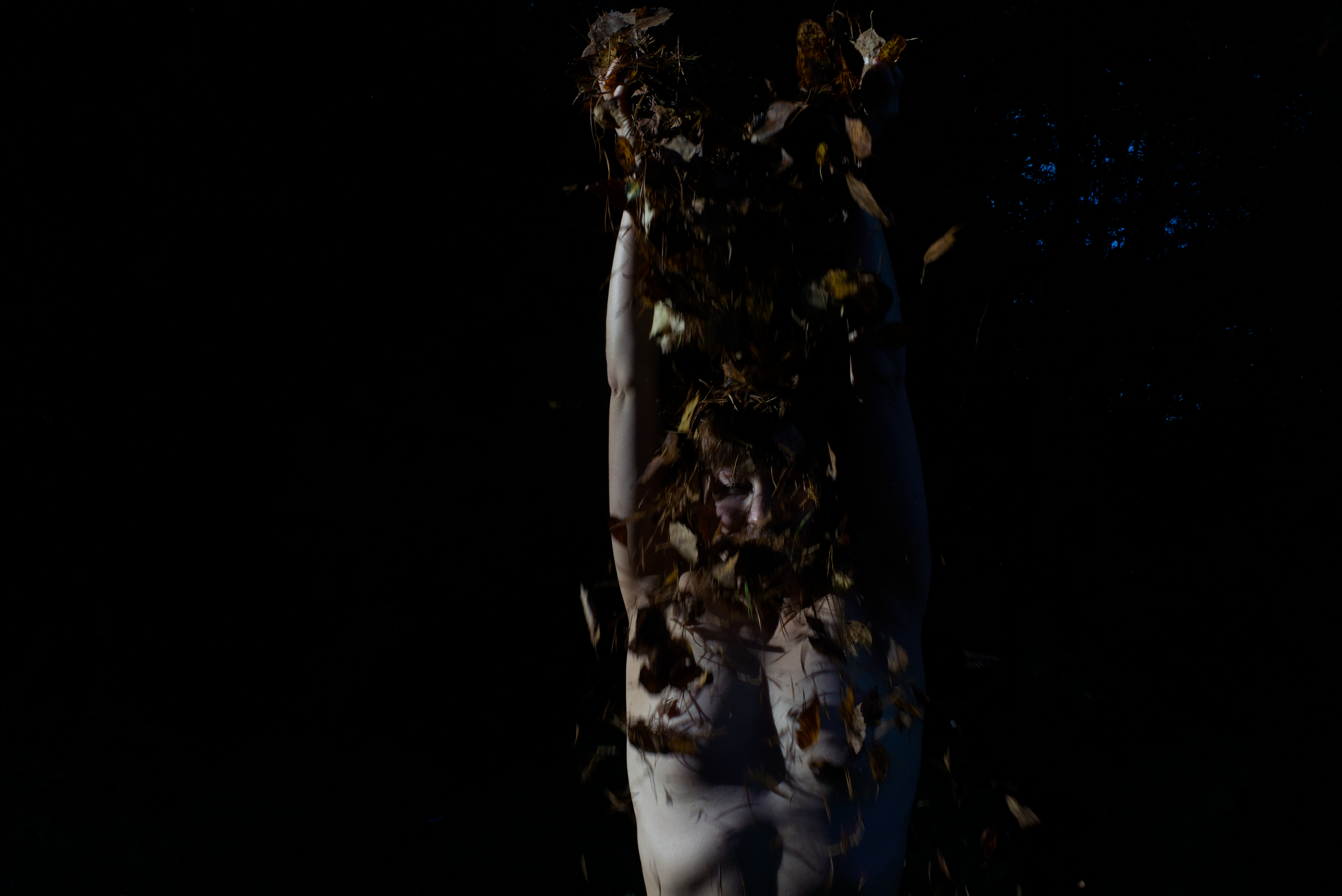 Radicalis